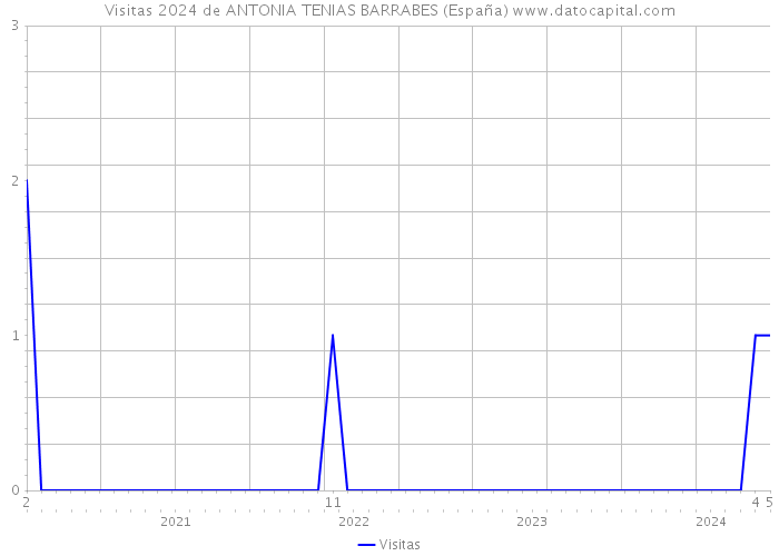 Visitas 2024 de ANTONIA TENIAS BARRABES (España) 