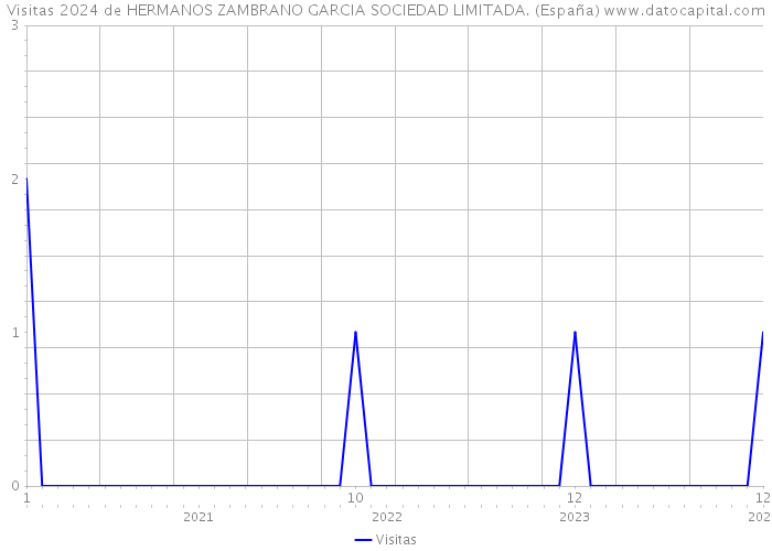 Visitas 2024 de HERMANOS ZAMBRANO GARCIA SOCIEDAD LIMITADA. (España) 