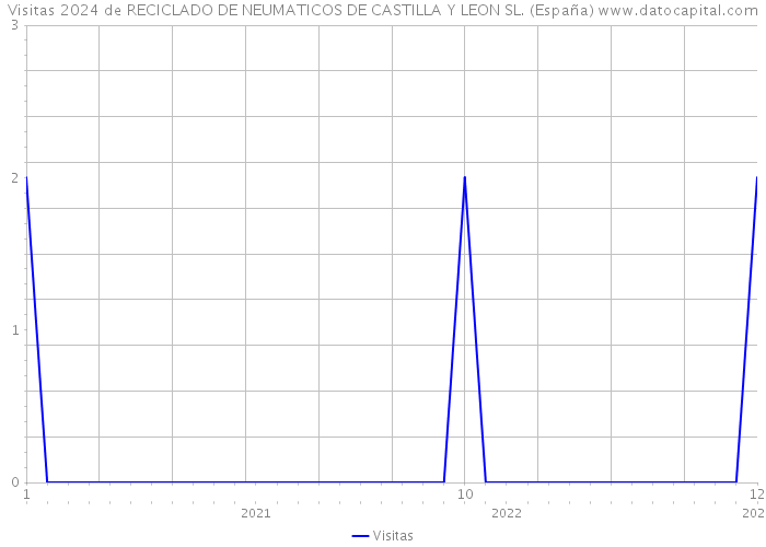 Visitas 2024 de RECICLADO DE NEUMATICOS DE CASTILLA Y LEON SL. (España) 