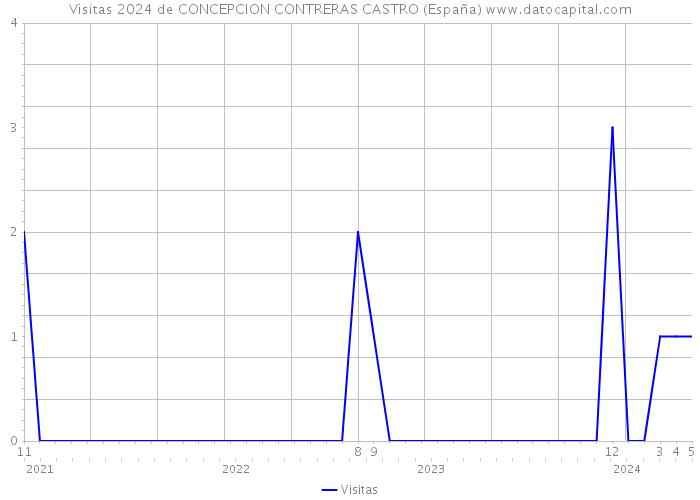 Visitas 2024 de CONCEPCION CONTRERAS CASTRO (España) 