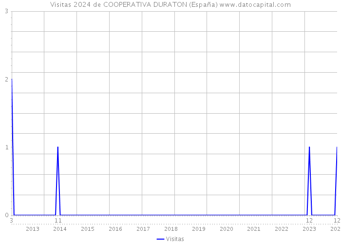 Visitas 2024 de COOPERATIVA DURATON (España) 