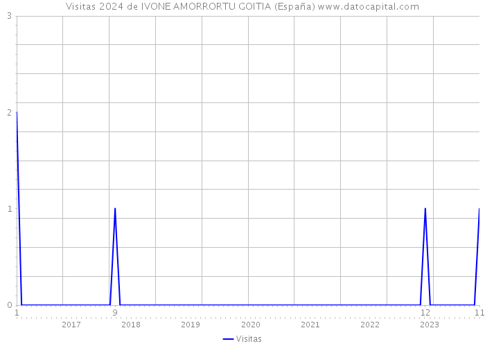 Visitas 2024 de IVONE AMORRORTU GOITIA (España) 