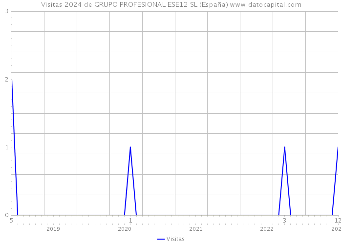 Visitas 2024 de GRUPO PROFESIONAL ESE12 SL (España) 