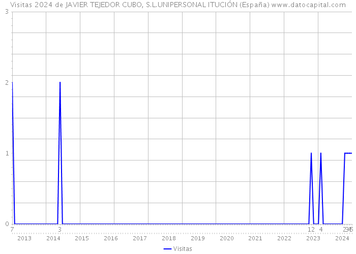 Visitas 2024 de JAVIER TEJEDOR CUBO, S.L.UNIPERSONAL ITUCIÓN (España) 