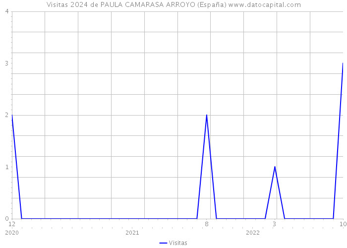 Visitas 2024 de PAULA CAMARASA ARROYO (España) 