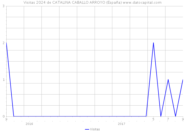 Visitas 2024 de CATALINA CABALLO ARROYO (España) 