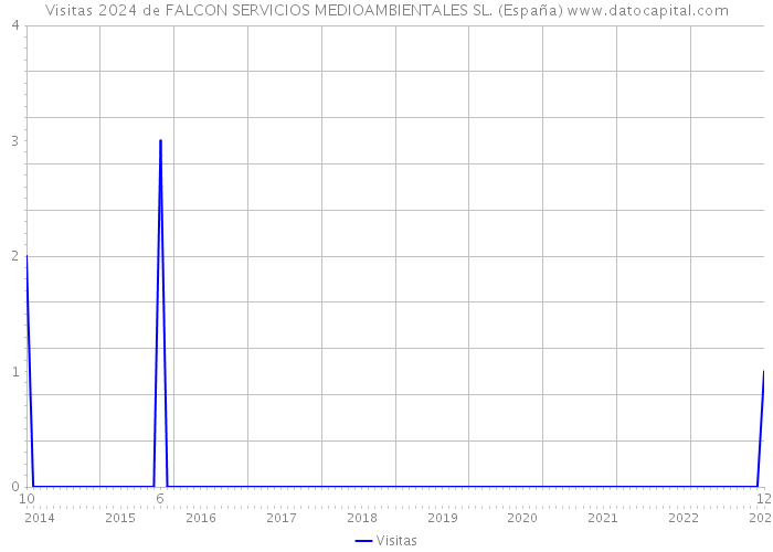 Visitas 2024 de FALCON SERVICIOS MEDIOAMBIENTALES SL. (España) 