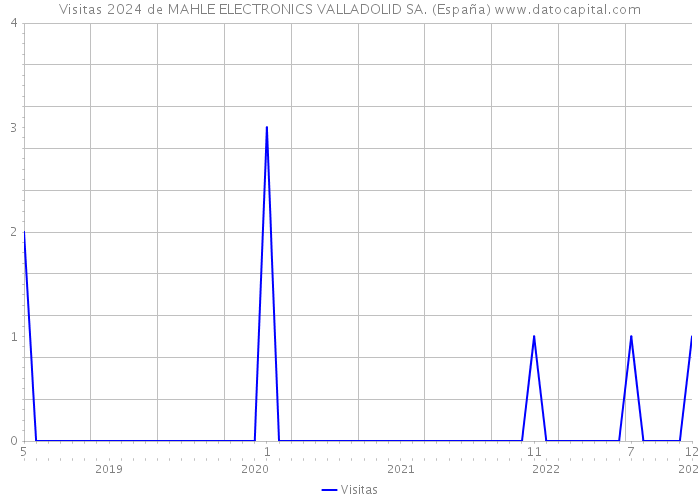 Visitas 2024 de MAHLE ELECTRONICS VALLADOLID SA. (España) 