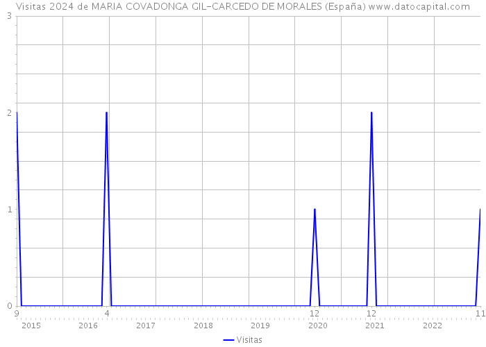 Visitas 2024 de MARIA COVADONGA GIL-CARCEDO DE MORALES (España) 
