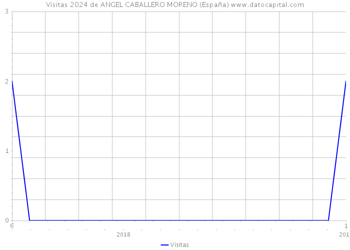 Visitas 2024 de ANGEL CABALLERO MORENO (España) 