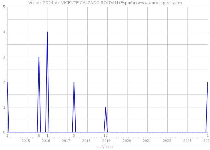 Visitas 2024 de VICENTE CALZADO ROLDAN (España) 