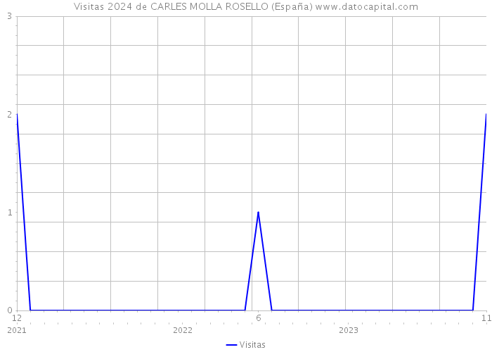 Visitas 2024 de CARLES MOLLA ROSELLO (España) 