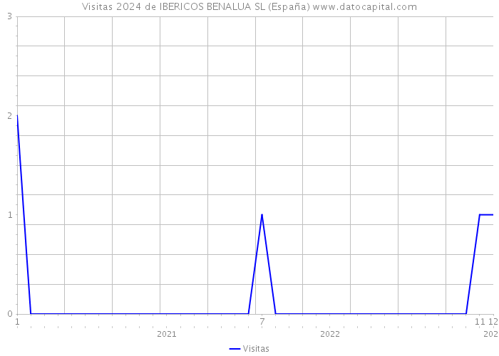 Visitas 2024 de IBERICOS BENALUA SL (España) 