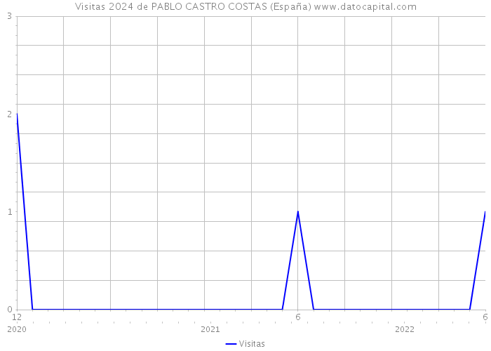 Visitas 2024 de PABLO CASTRO COSTAS (España) 