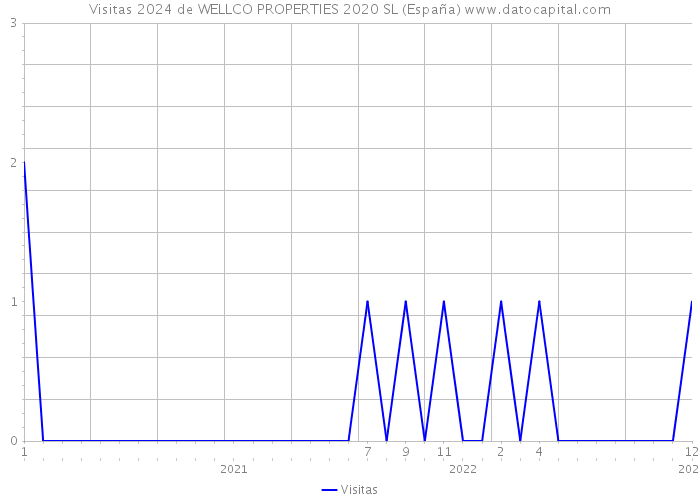 Visitas 2024 de WELLCO PROPERTIES 2020 SL (España) 
