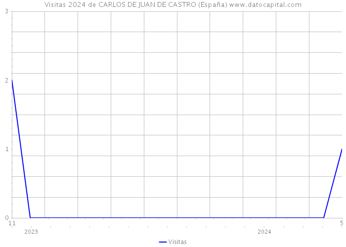 Visitas 2024 de CARLOS DE JUAN DE CASTRO (España) 