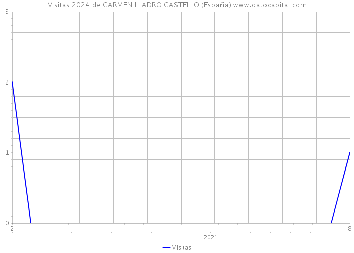 Visitas 2024 de CARMEN LLADRO CASTELLO (España) 