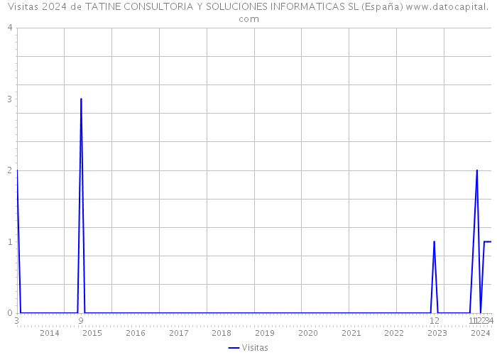 Visitas 2024 de TATINE CONSULTORIA Y SOLUCIONES INFORMATICAS SL (España) 