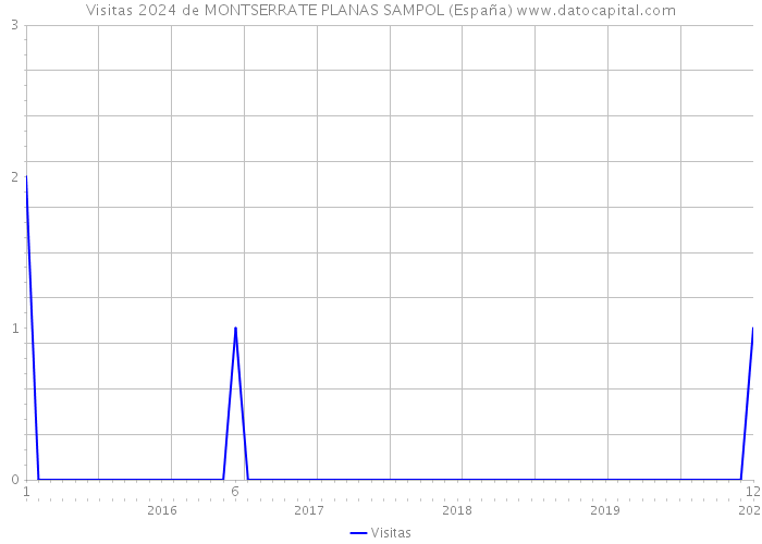 Visitas 2024 de MONTSERRATE PLANAS SAMPOL (España) 