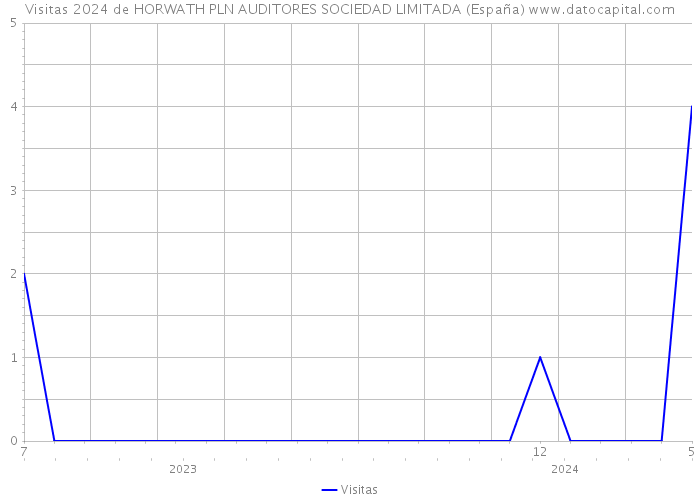 Visitas 2024 de HORWATH PLN AUDITORES SOCIEDAD LIMITADA (España) 