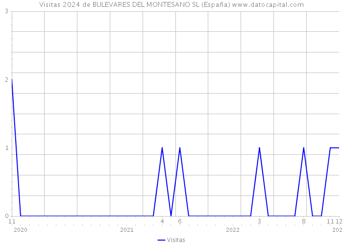 Visitas 2024 de BULEVARES DEL MONTESANO SL (España) 