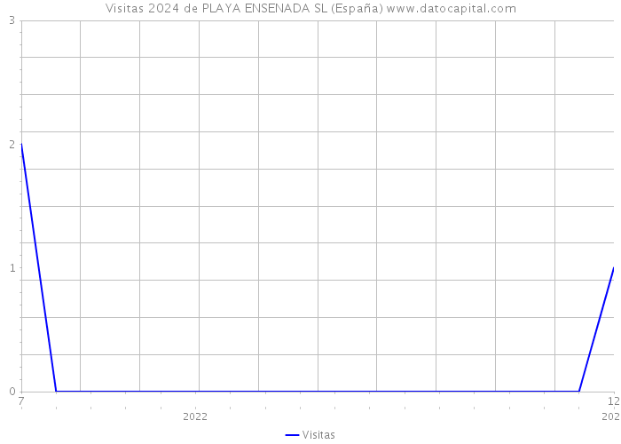 Visitas 2024 de PLAYA ENSENADA SL (España) 