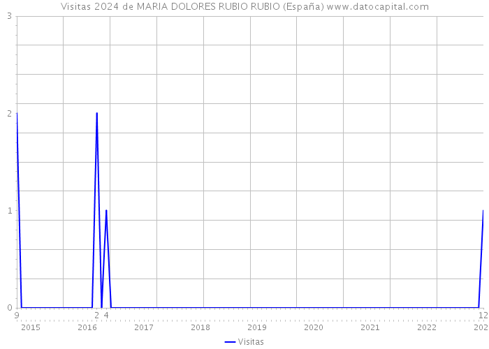 Visitas 2024 de MARIA DOLORES RUBIO RUBIO (España) 