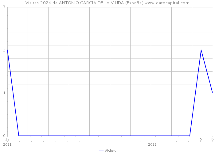 Visitas 2024 de ANTONIO GARCIA DE LA VIUDA (España) 