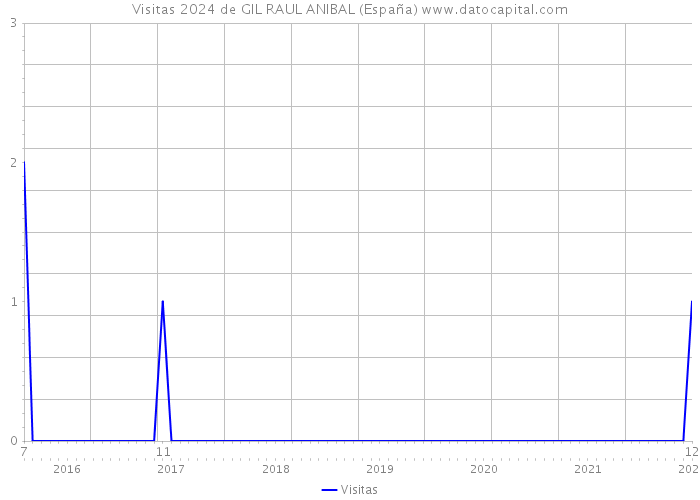 Visitas 2024 de GIL RAUL ANIBAL (España) 