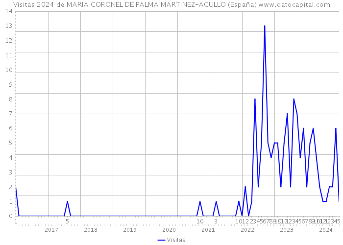 Visitas 2024 de MARIA CORONEL DE PALMA MARTINEZ-AGULLO (España) 