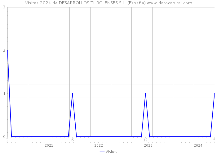 Visitas 2024 de DESARROLLOS TUROLENSES S.L. (España) 