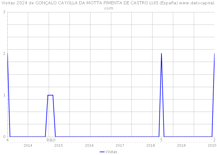 Visitas 2024 de GONÇALO CAYOLLA DA MOTTA PIMENTA DE CASTRO LUIS (España) 