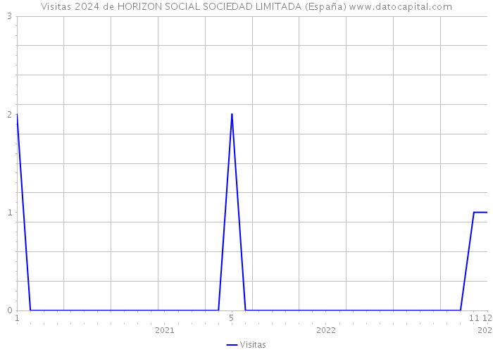 Visitas 2024 de HORIZON SOCIAL SOCIEDAD LIMITADA (España) 