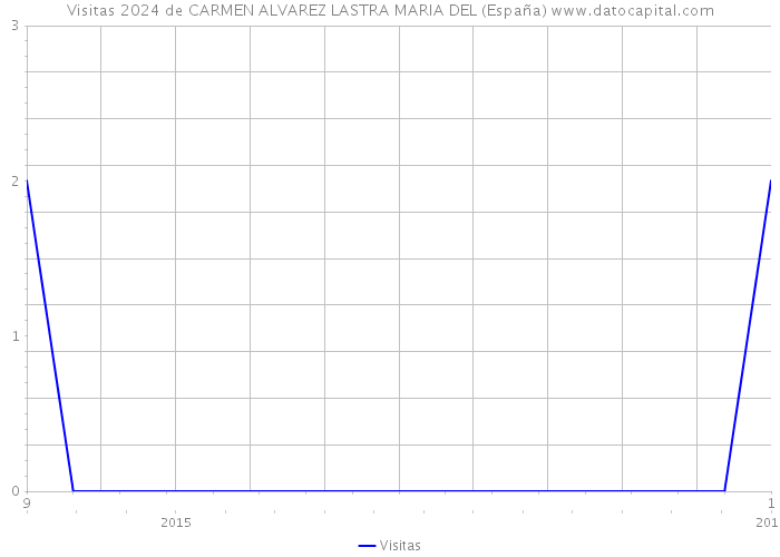 Visitas 2024 de CARMEN ALVAREZ LASTRA MARIA DEL (España) 