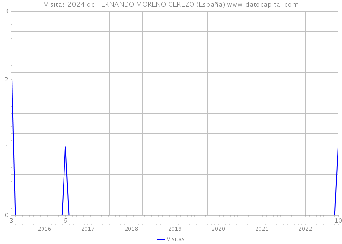 Visitas 2024 de FERNANDO MORENO CEREZO (España) 