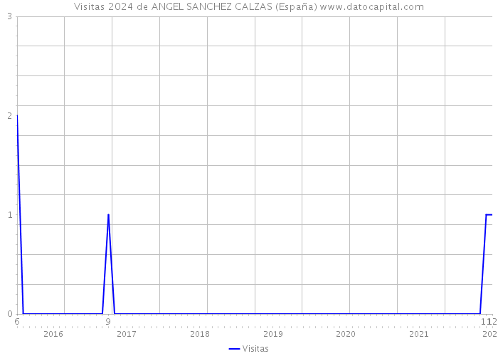 Visitas 2024 de ANGEL SANCHEZ CALZAS (España) 