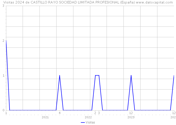 Visitas 2024 de CASTILLO RAYO SOCIEDAD LIMITADA PROFESIONAL (España) 