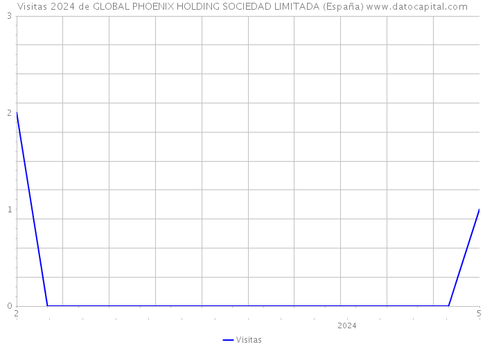 Visitas 2024 de GLOBAL PHOENIX HOLDING SOCIEDAD LIMITADA (España) 