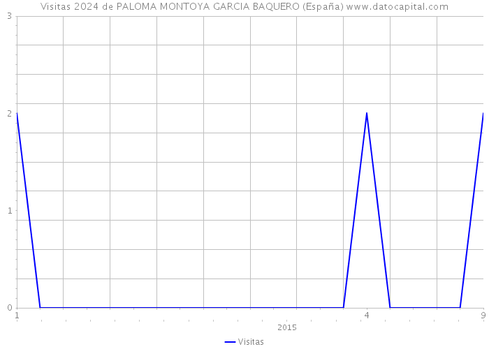 Visitas 2024 de PALOMA MONTOYA GARCIA BAQUERO (España) 