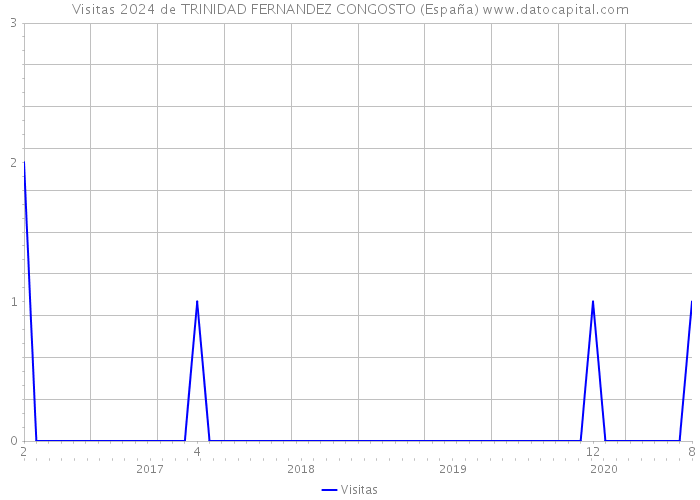 Visitas 2024 de TRINIDAD FERNANDEZ CONGOSTO (España) 
