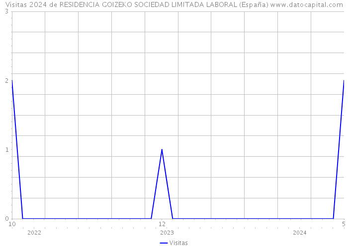 Visitas 2024 de RESIDENCIA GOIZEKO SOCIEDAD LIMITADA LABORAL (España) 