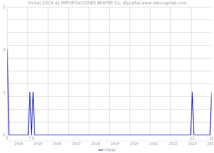 Visitas 2024 de IMPORTACIONES BRAFER S.L. (España) 