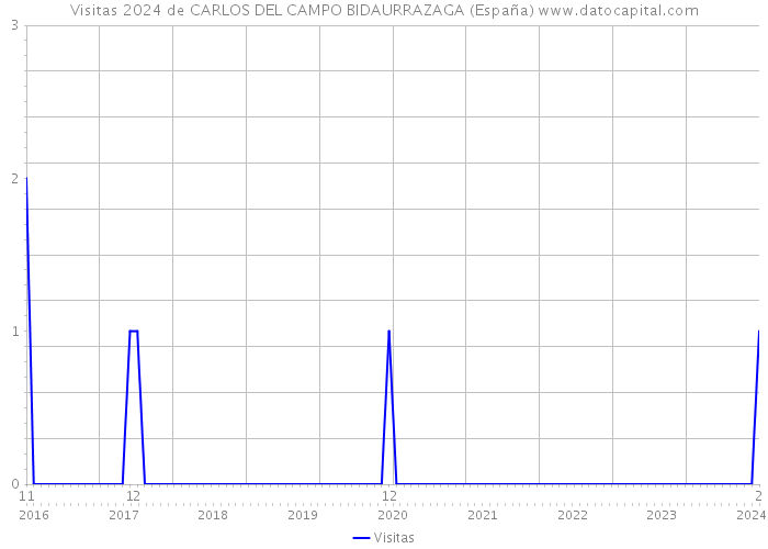 Visitas 2024 de CARLOS DEL CAMPO BIDAURRAZAGA (España) 