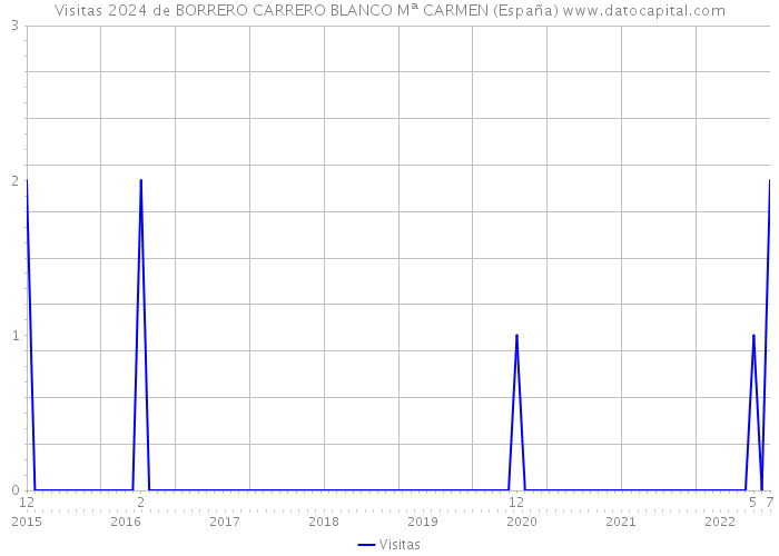 Visitas 2024 de BORRERO CARRERO BLANCO Mª CARMEN (España) 