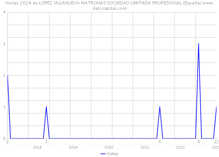 Visitas 2024 de LOPEZ VILLANUEVA MATRONAS SOCIEDAD LIMITADA PROFESIONAL (España) 