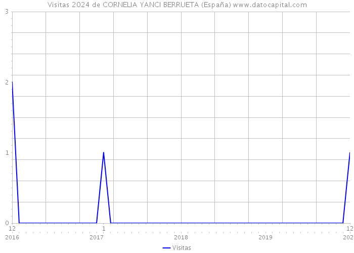 Visitas 2024 de CORNELIA YANCI BERRUETA (España) 