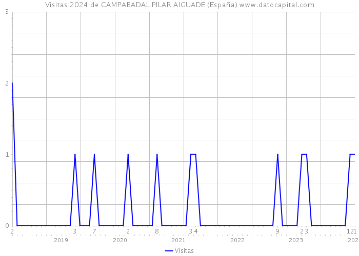 Visitas 2024 de CAMPABADAL PILAR AIGUADE (España) 