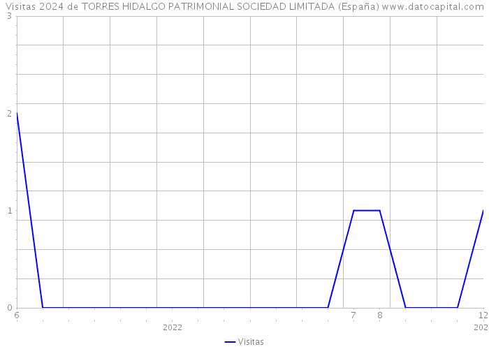 Visitas 2024 de TORRES HIDALGO PATRIMONIAL SOCIEDAD LIMITADA (España) 