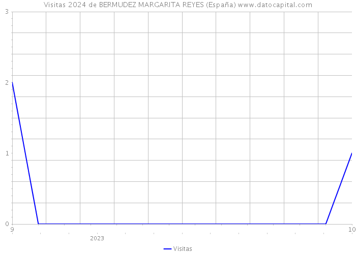 Visitas 2024 de BERMUDEZ MARGARITA REYES (España) 