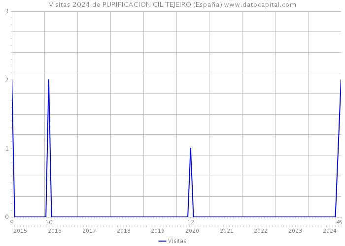 Visitas 2024 de PURIFICACION GIL TEJEIRO (España) 